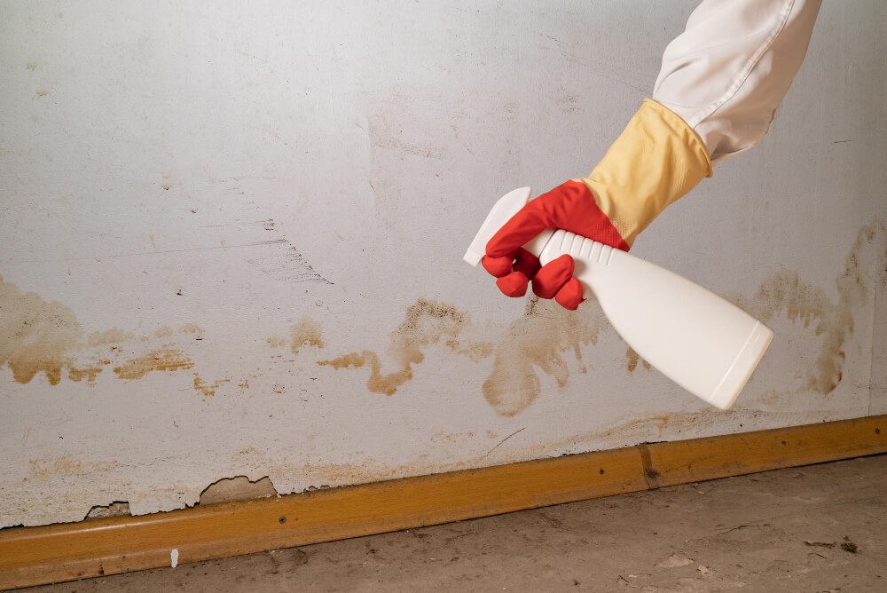 Механическое удаление и обработка поверхностей